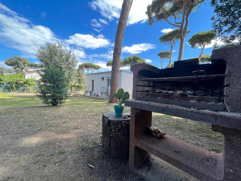 Pineta Apartament Tirrenia Exterior foto